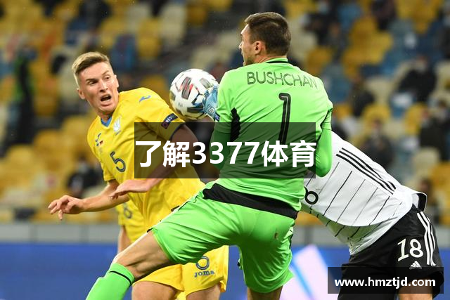 了解3377体育